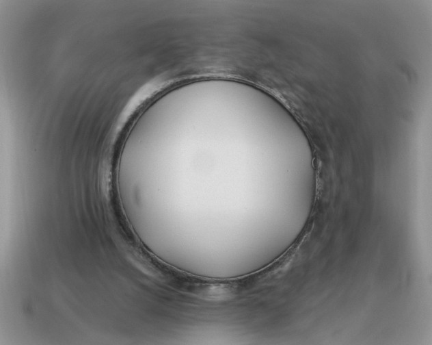 X0000114570056200911091224