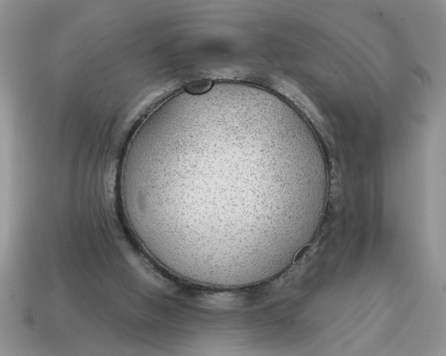 X0000114570058200911091224