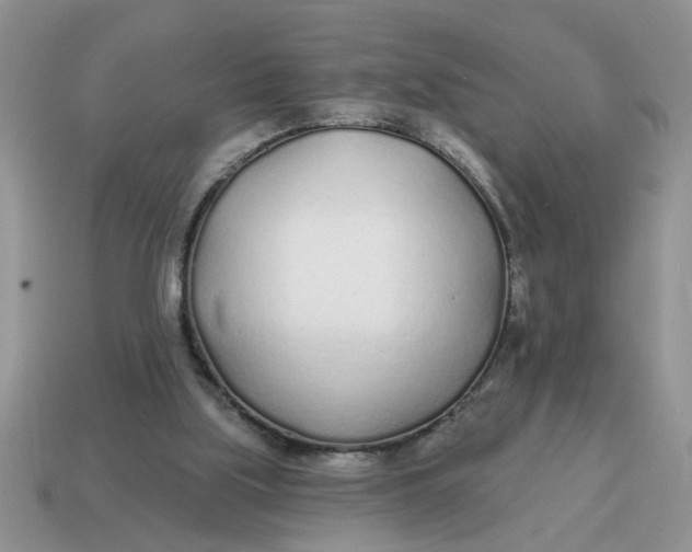 X0000114570059200911091224