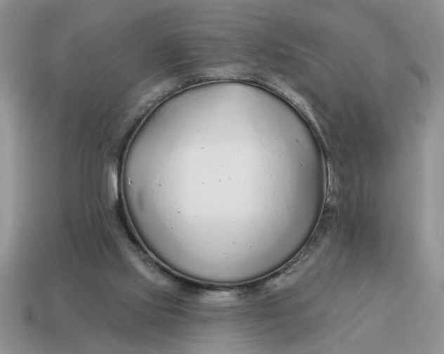 X0000114570061200911091224