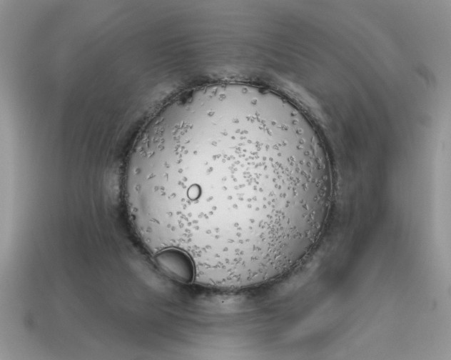 X0000114570065200911091224