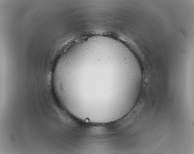 X0000114570066200911091224