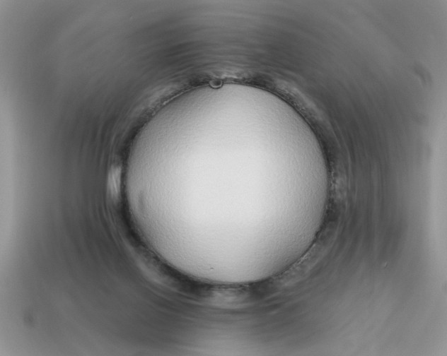 X0000114570070200911091224