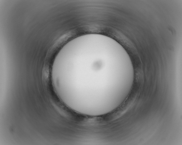 X0000114570072200911091224