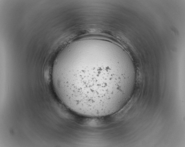 X0000114570074200911091224