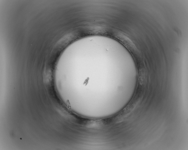 X0000114570077200911091224