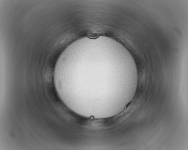 X0000114570078200911091224