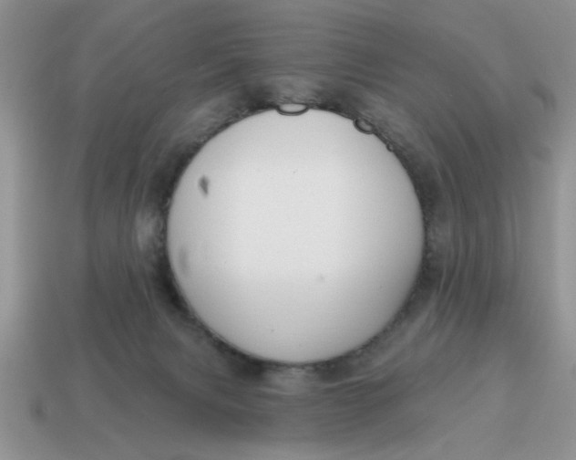 X0000114570079200911091224