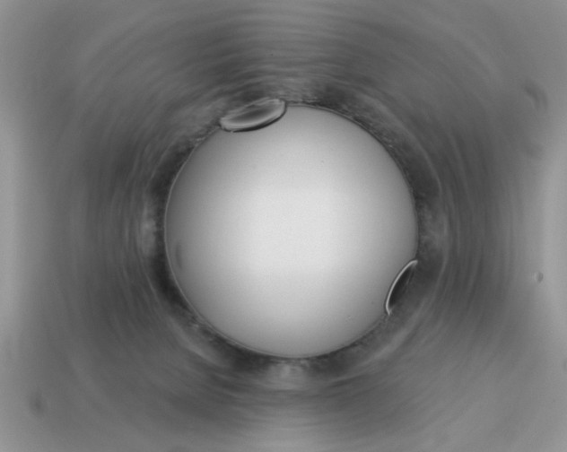 X0000114570080200911091224