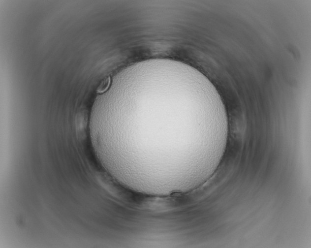 X0000114570082200911091224