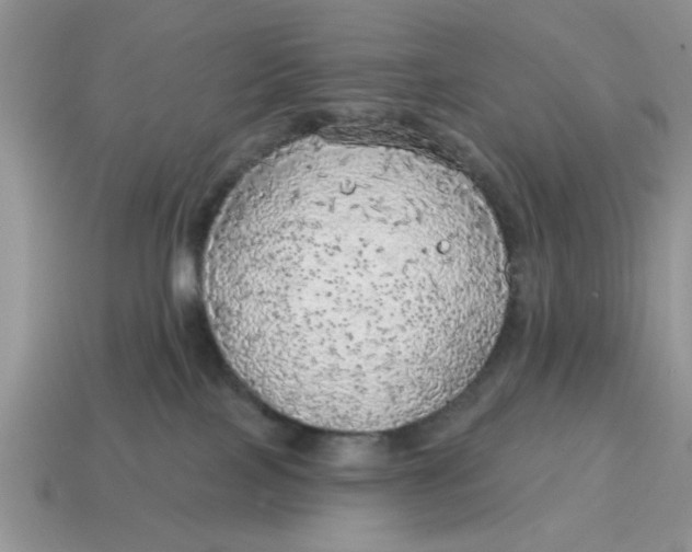 X0000114570089200911091224