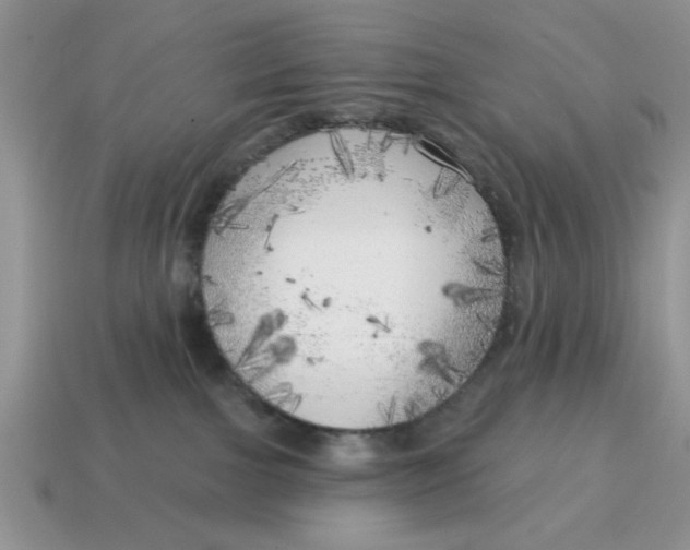 X0000114570091200911091224