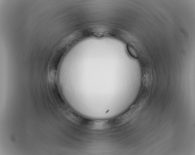 X0000114570093200911091224