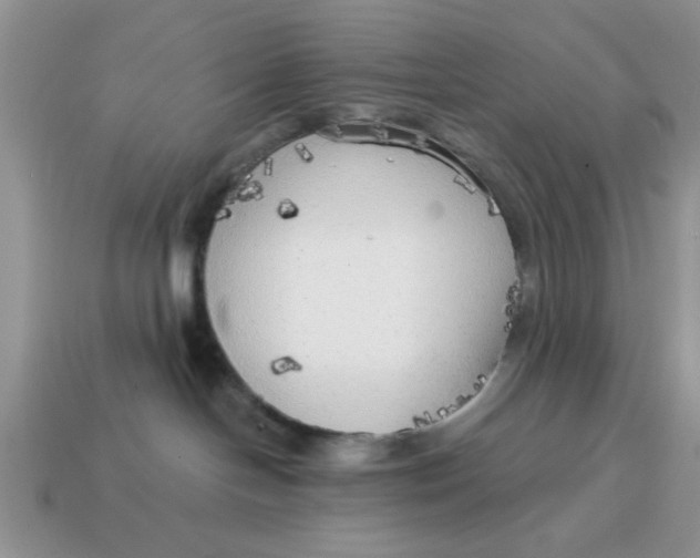 X0000114570094200911091224