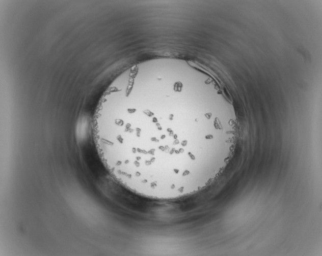 X0000114570095200911091224