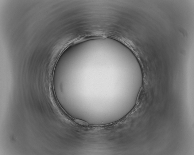 X0000114570097200911091224