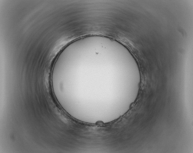 X0000114570098200911091224