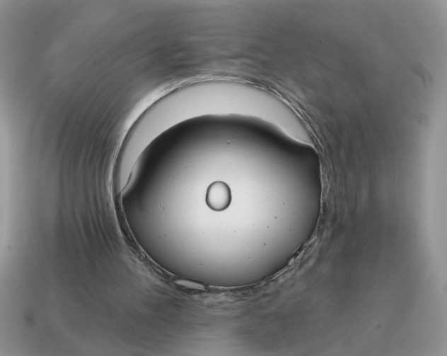 X0000114570100200911091224