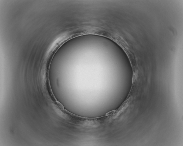 X0000114570101200911091224