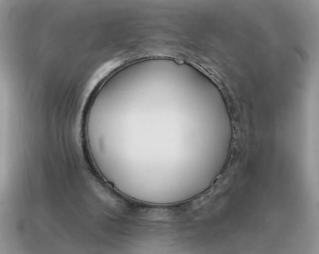 X0000114570104200911091224