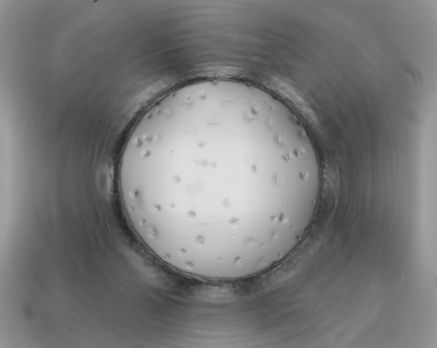 X0000114570110200911091224