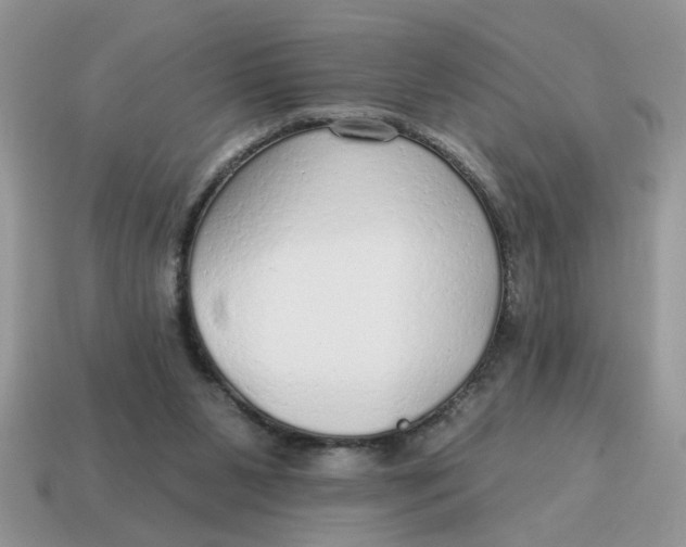 X0000114570111200911091224