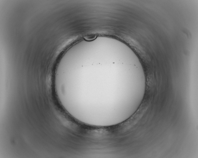 X0000114570112200911091224