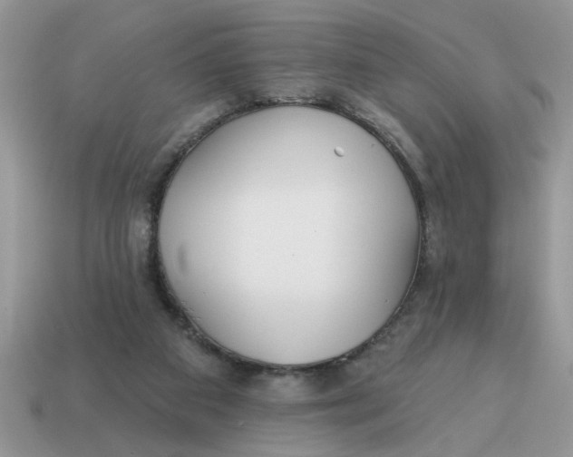 X0000114570113200911091224