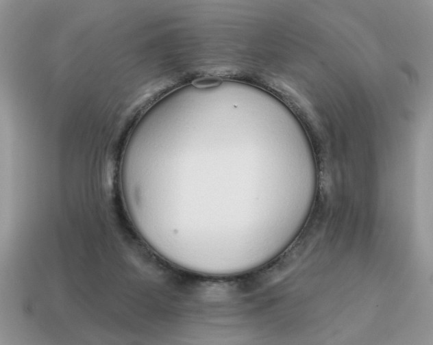 X0000114570115200911091224