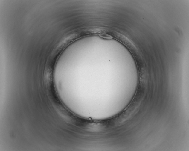 X0000114570119200911091223