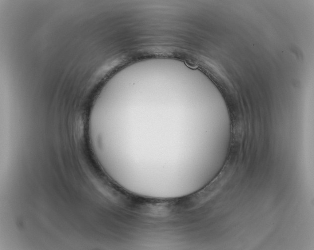 X0000114570120200911091223