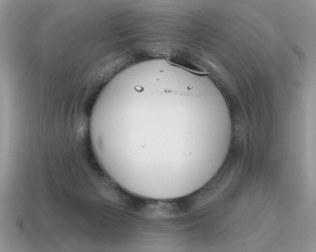 X0000114570125200911091223