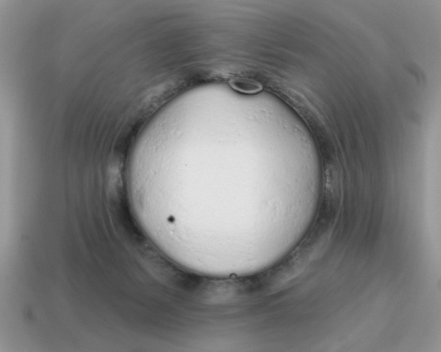 X0000114570127200911091223