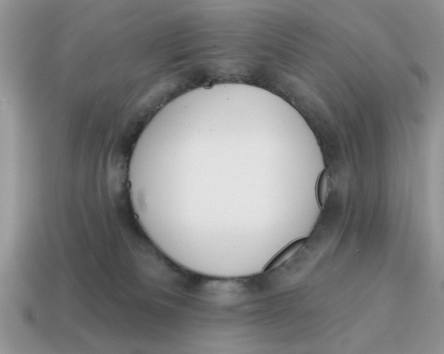 X0000114570133200911091223