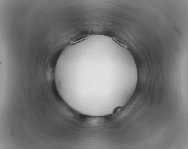 X0000114570135200911091223