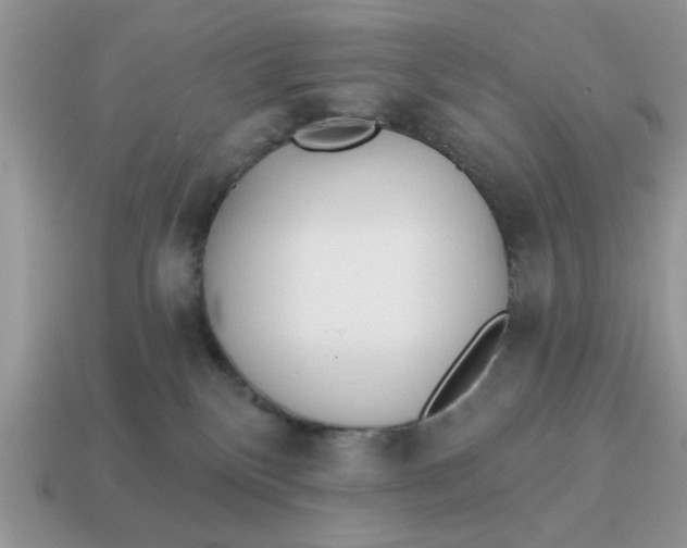 X0000114570136200911091223