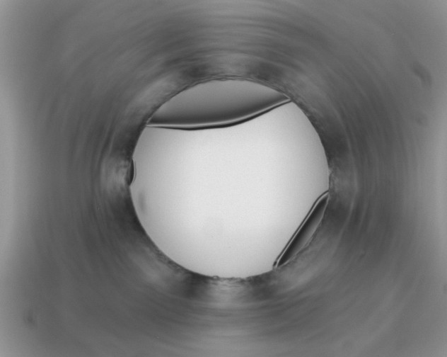 X0000114570141200911091223