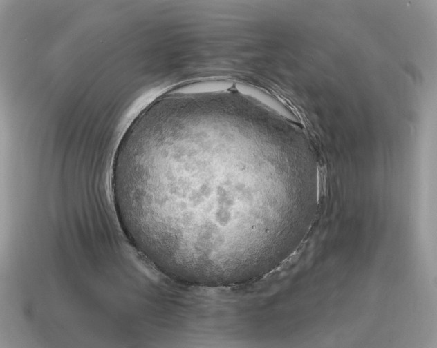 X0000114570147200911091223