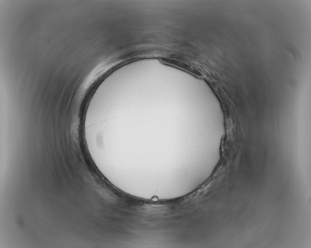 X0000114570150200911091223