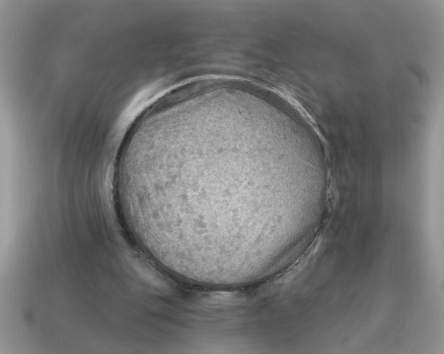 X0000114570151200911091223