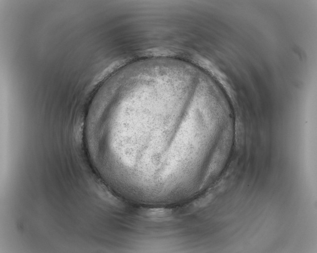 X0000114570153200911091223