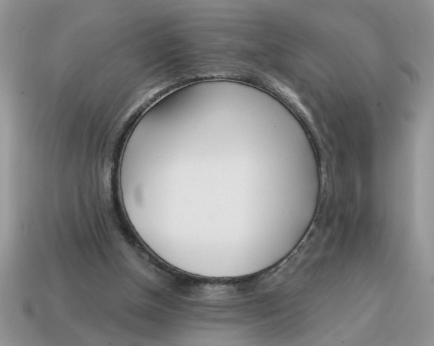 X0000114570154200911091223