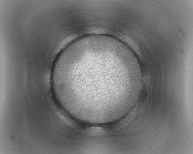 X0000114570159200911091223