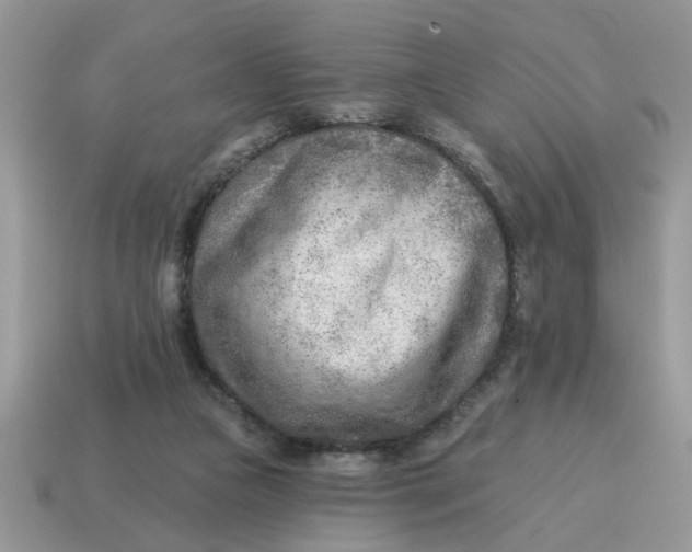 X0000114570161200911091223