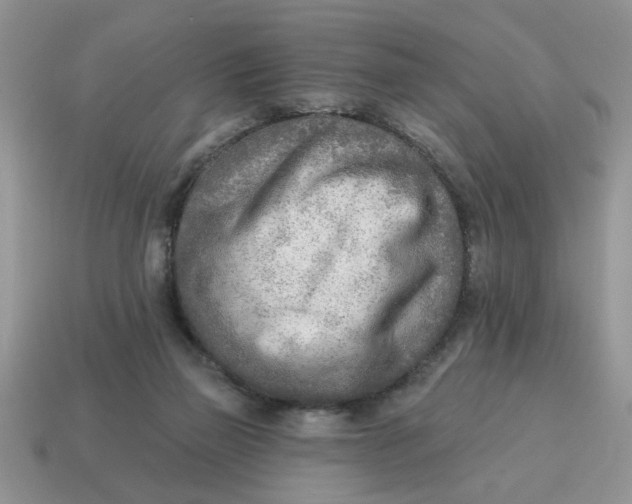 X0000114570165200911091223