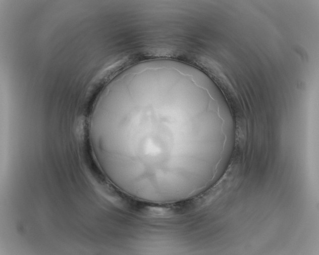 X0000114570167200911091223