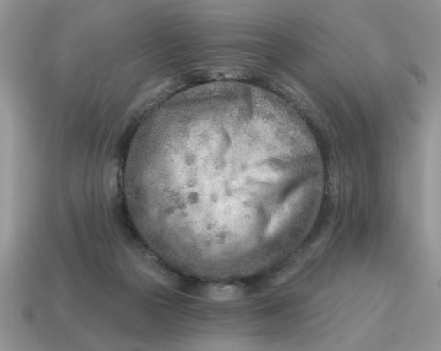 X0000114570169200911091223