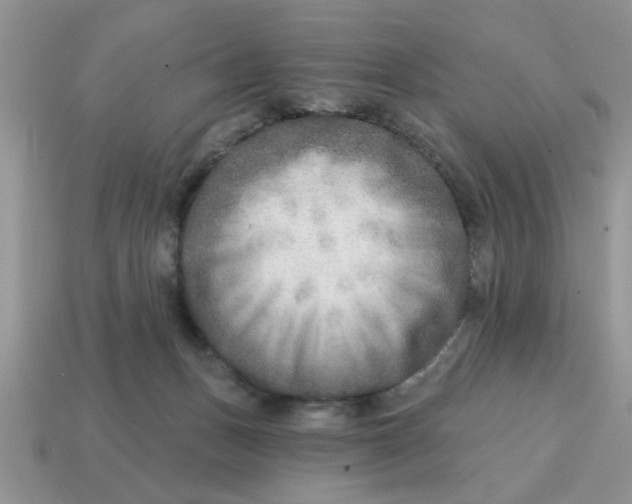 X0000114570175200911091223