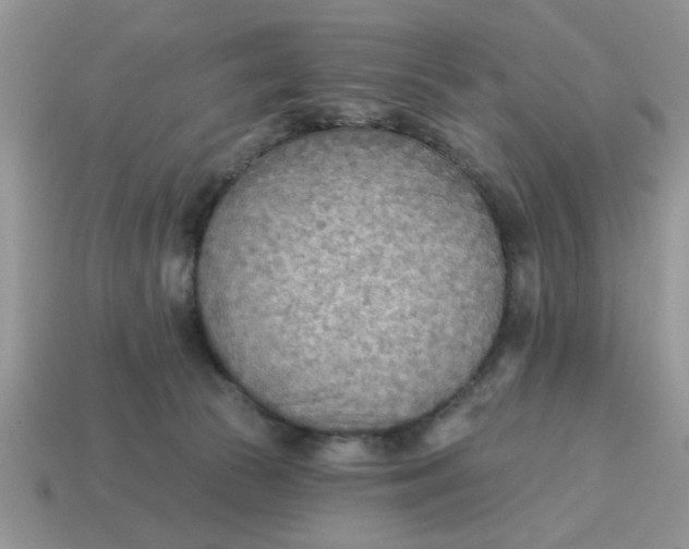 X0000114570177200911091223