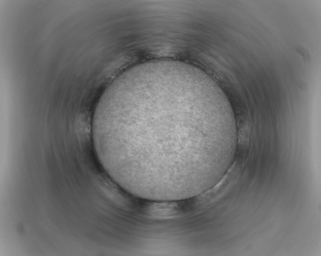 X0000114570179200911091223